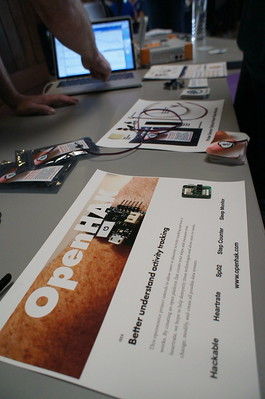 Photo of the OpenHAK display at the 2017 Gathering in Santiago